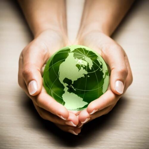 Stewart Brand on Ecology